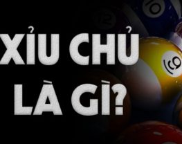 Xỉu chủ là gì, xỉu chủ miền Nam có mấy loại